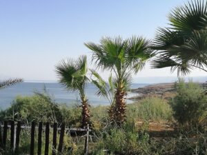 The Dead Sea